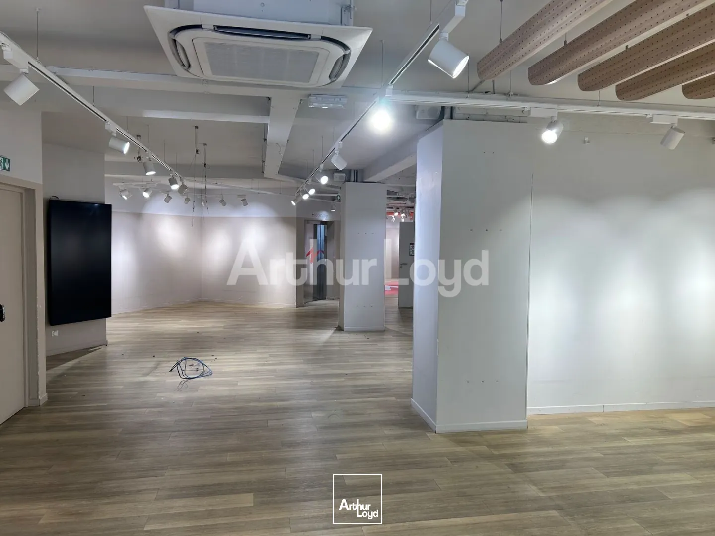 Locaux commerciaux - Location - LILLE - 59000 - 917-917 - 7737753