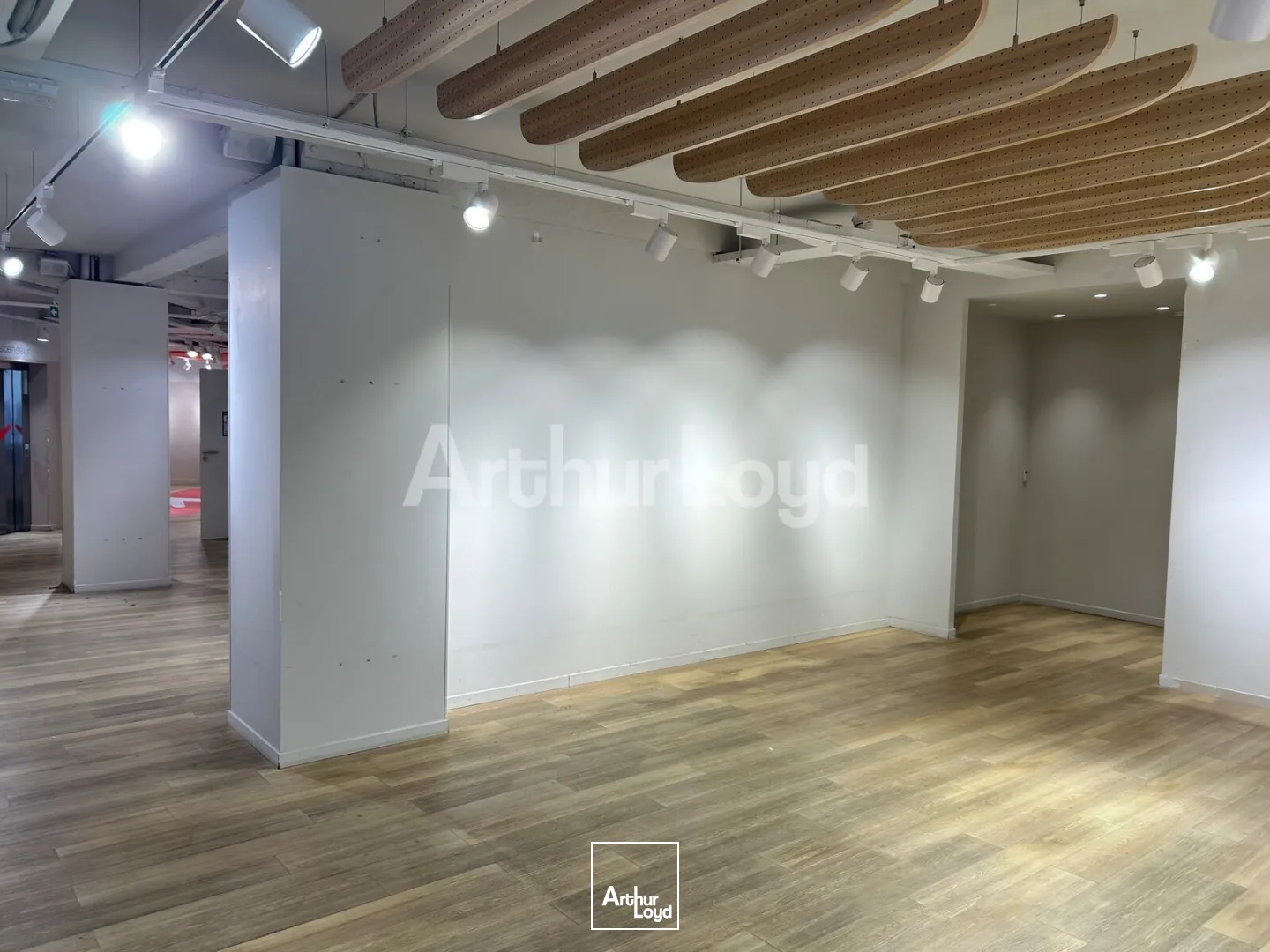 Locaux commerciaux - Location - LILLE - 59000 - 917-917 - 7737754