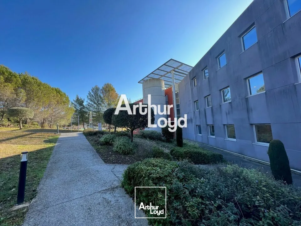 Bureaux - Vente - VALBONNE - 06560 - 149.7-544.4 - 7738039