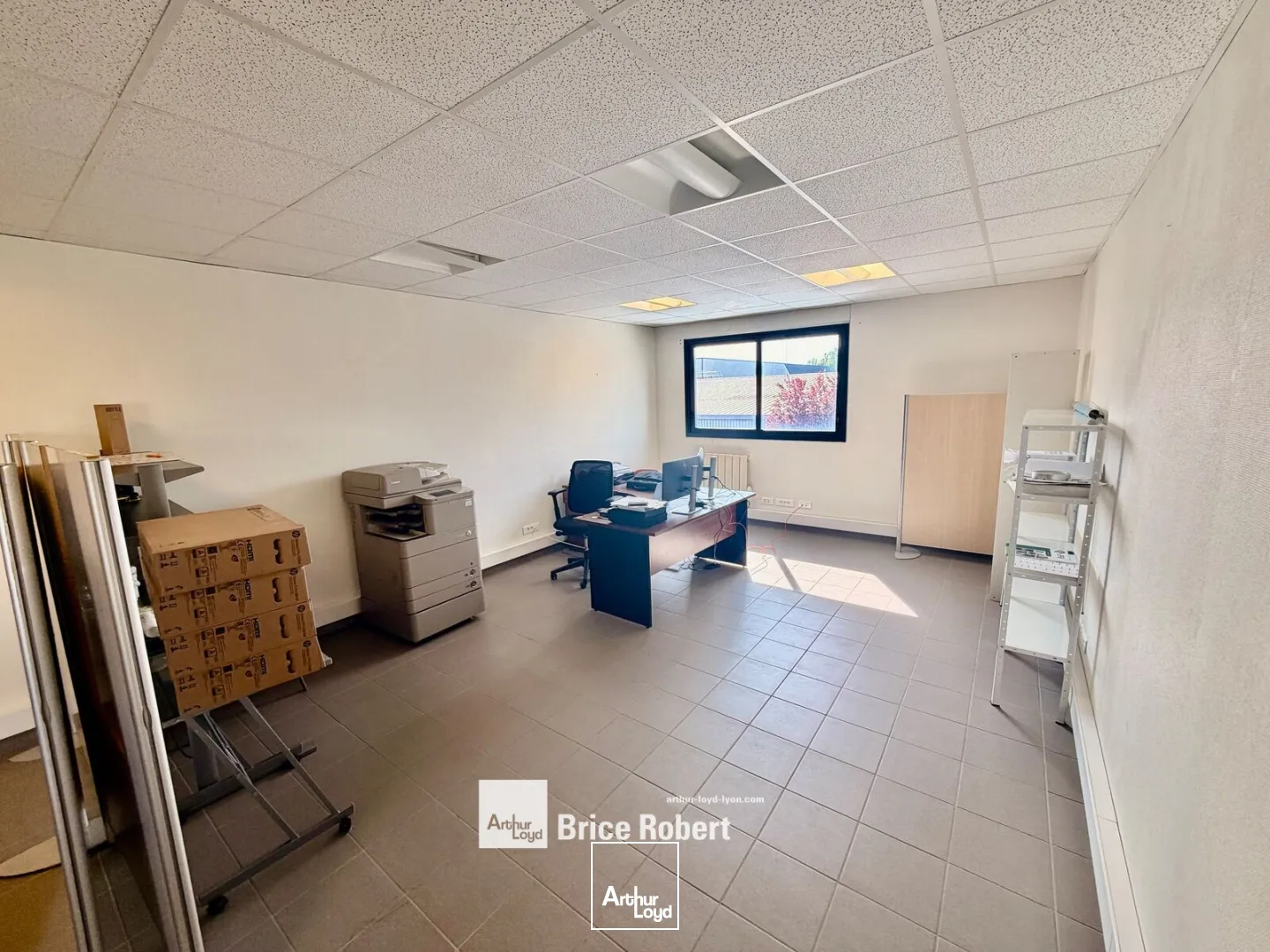 Locaux d'activité & Entrepôts - Location - TREVOUX - 01600 - 207-207 - 7738823