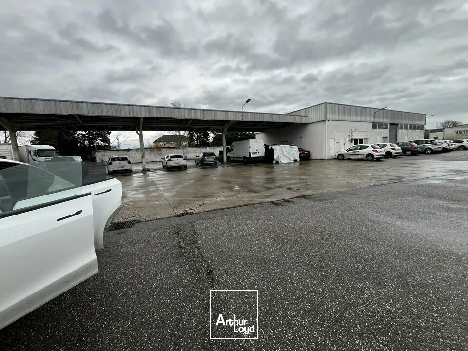 Terrains - Location - ILLKIRCH-GRAFFENSTADEN - 67400 - 9000-9000 - 7738904