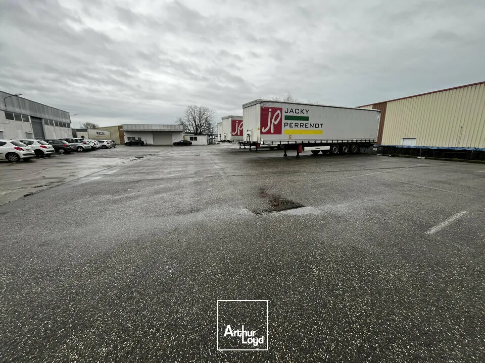 Terrains - Location - ILLKIRCH-GRAFFENSTADEN - 67400 - 9000-9000 - 7738901