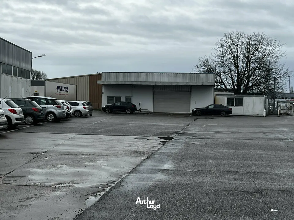 Terrains - Location - ILLKIRCH-GRAFFENSTADEN - 67400 - 9000-9000 - 7738903