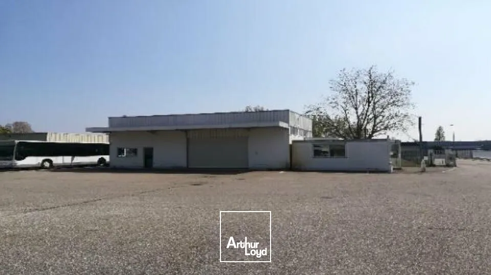 Terrains - Location - ILLKIRCH-GRAFFENSTADEN - 67400 - 9000-9000 - 7738905