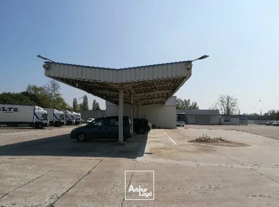 Terrains - Location - ILLKIRCH-GRAFFENSTADEN - 67400 - 9000-9000 - 7738906