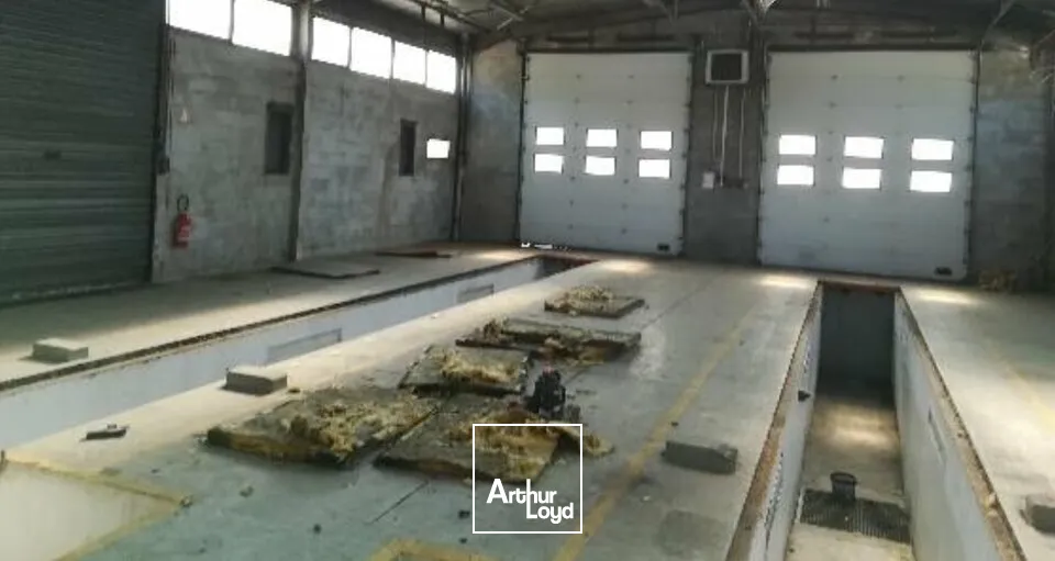 Terrains - Location - ILLKIRCH-GRAFFENSTADEN - 67400 - 9000-9000 - 7738908