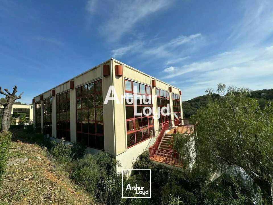 Bureaux - Location - VALLAURIS - 06220 - 43-1227.12 - 7738922
