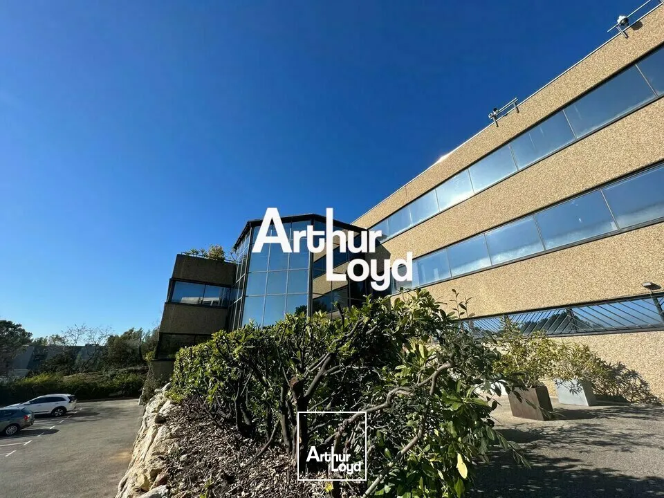 Bureaux - Location - VALBONNE - 06560 - 50-232 - 7738939