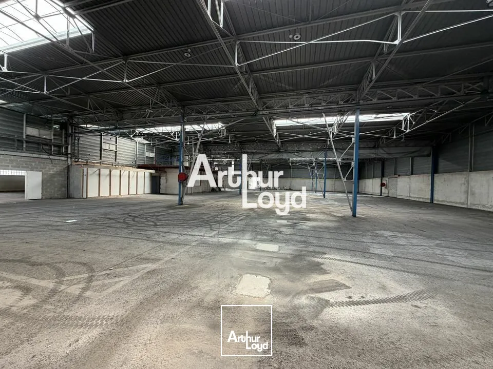 Locaux d'activité & Entrepôts - Location - SAINT LAURENT DU VAR - 06700 - 1200-2745 - 7738943