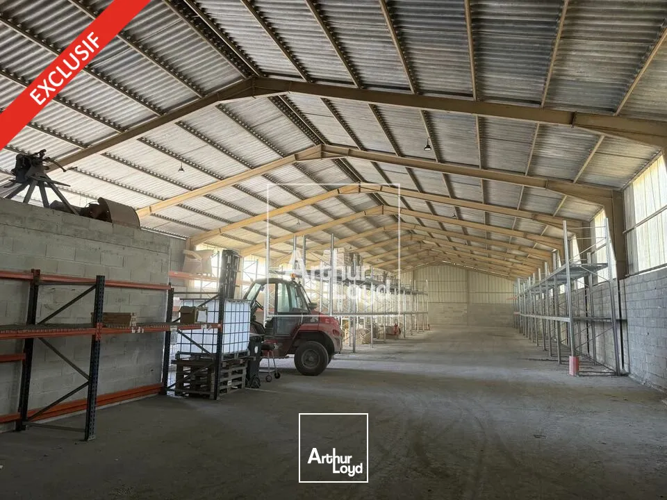 Locaux d'activité & Entrepôts - Location - SIVRY-COURTRY - 77115 - 1260-1260 - 7738958
