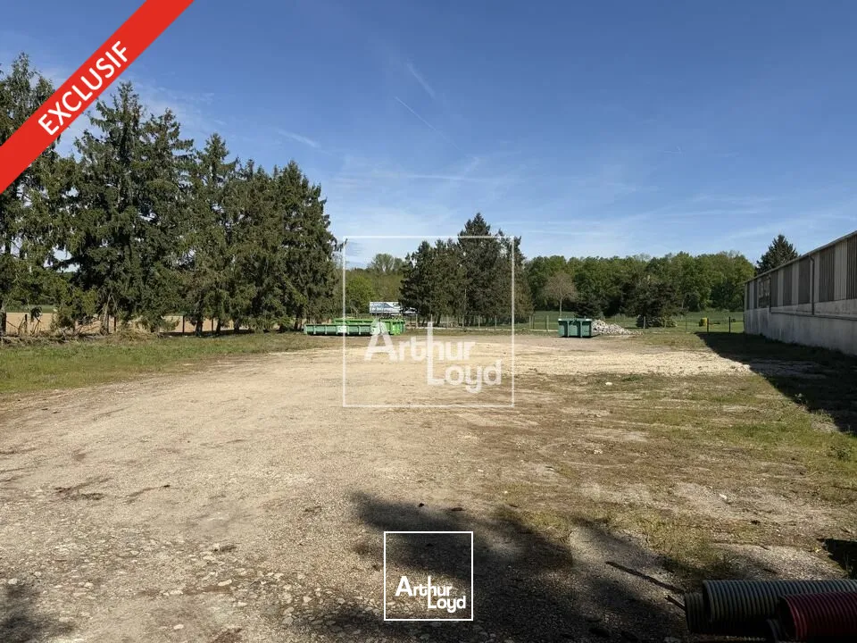 Locaux d'activité & Entrepôts - Location - SIVRY-COURTRY - 77115 - 1260-1260 - 7738959
