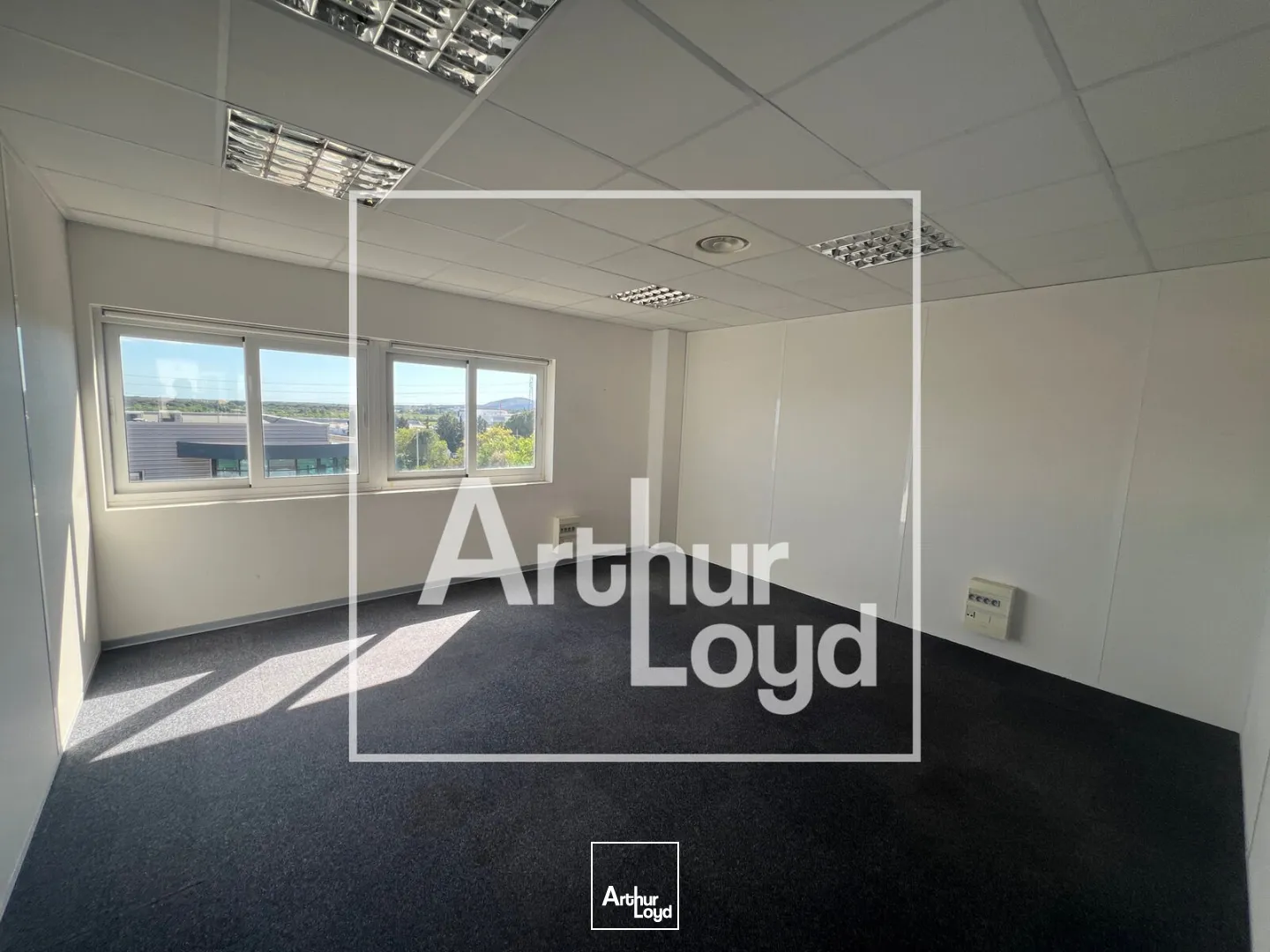 Bureaux - Location - MONTPELLIER - 34070 - 376-376 - 7739329