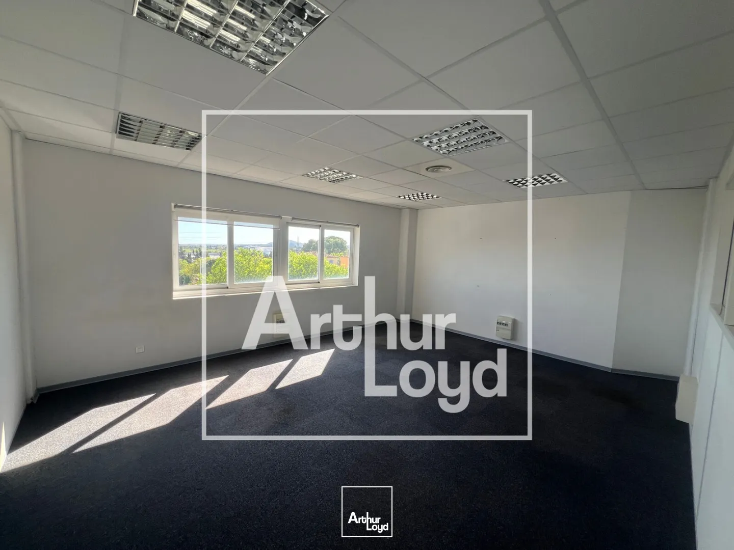 Bureaux - Location - MONTPELLIER - 34070 - 376-376 - 7739330