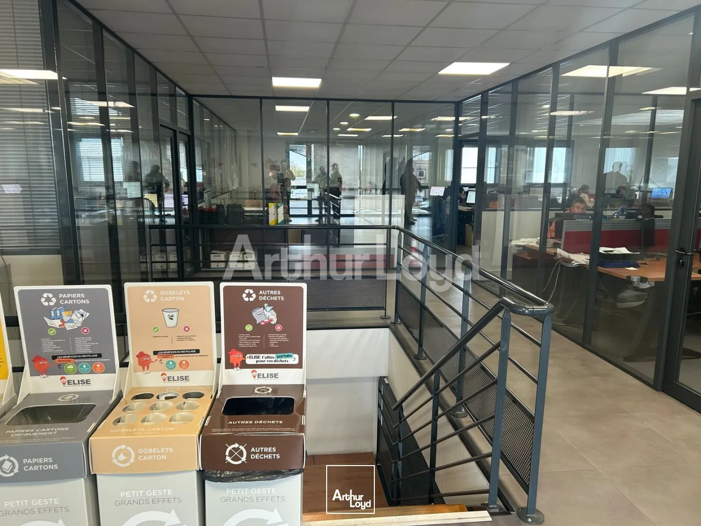 Locaux d'activité & Entrepôts - Location - SAINGHIN EN MELANTOIS - 59262 - 582-1693 - 7739438