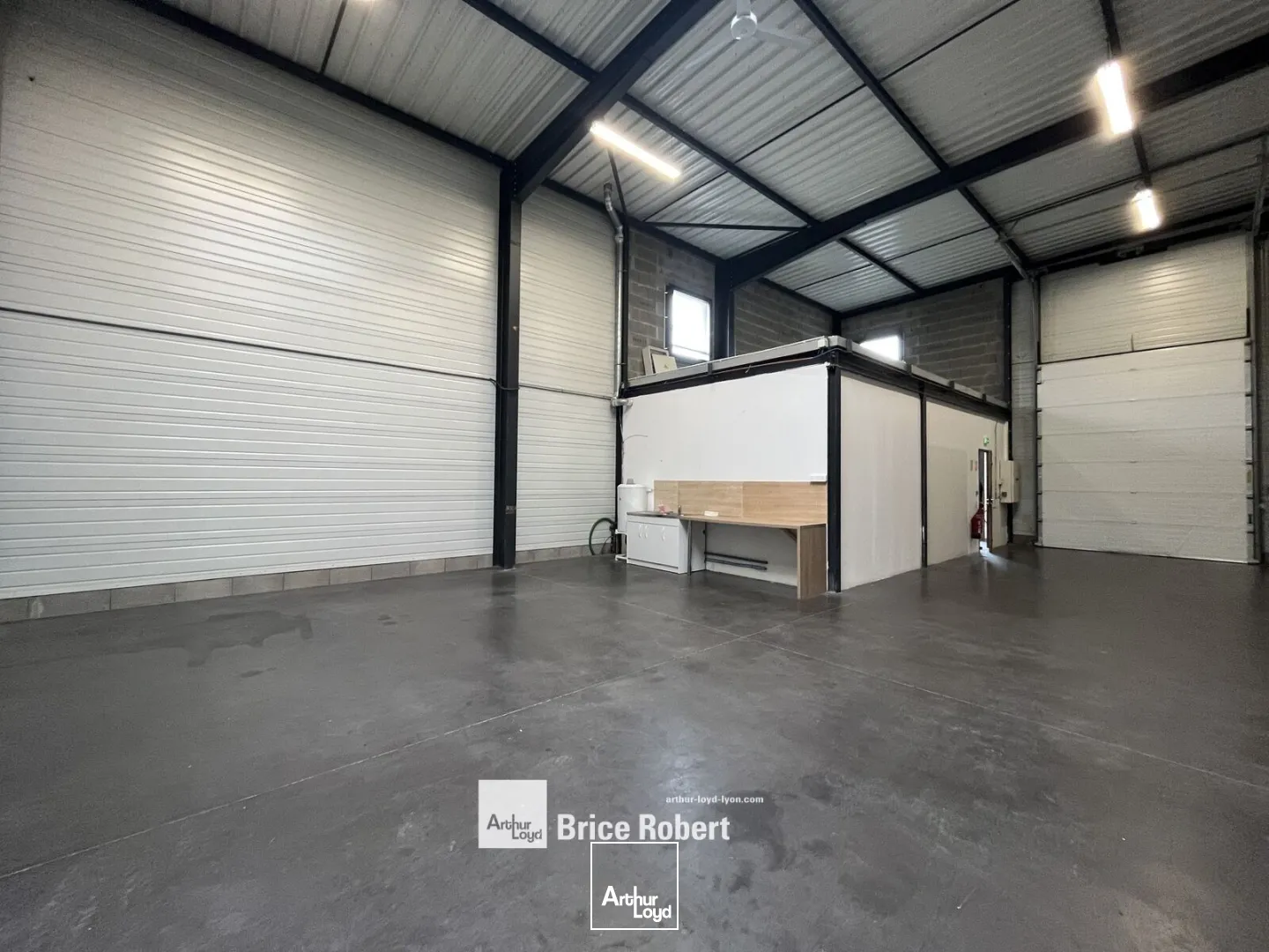 Locaux d'activité & Entrepôts - Vente - VILLEURBANNE - 69100 - 197-197 - 7739617