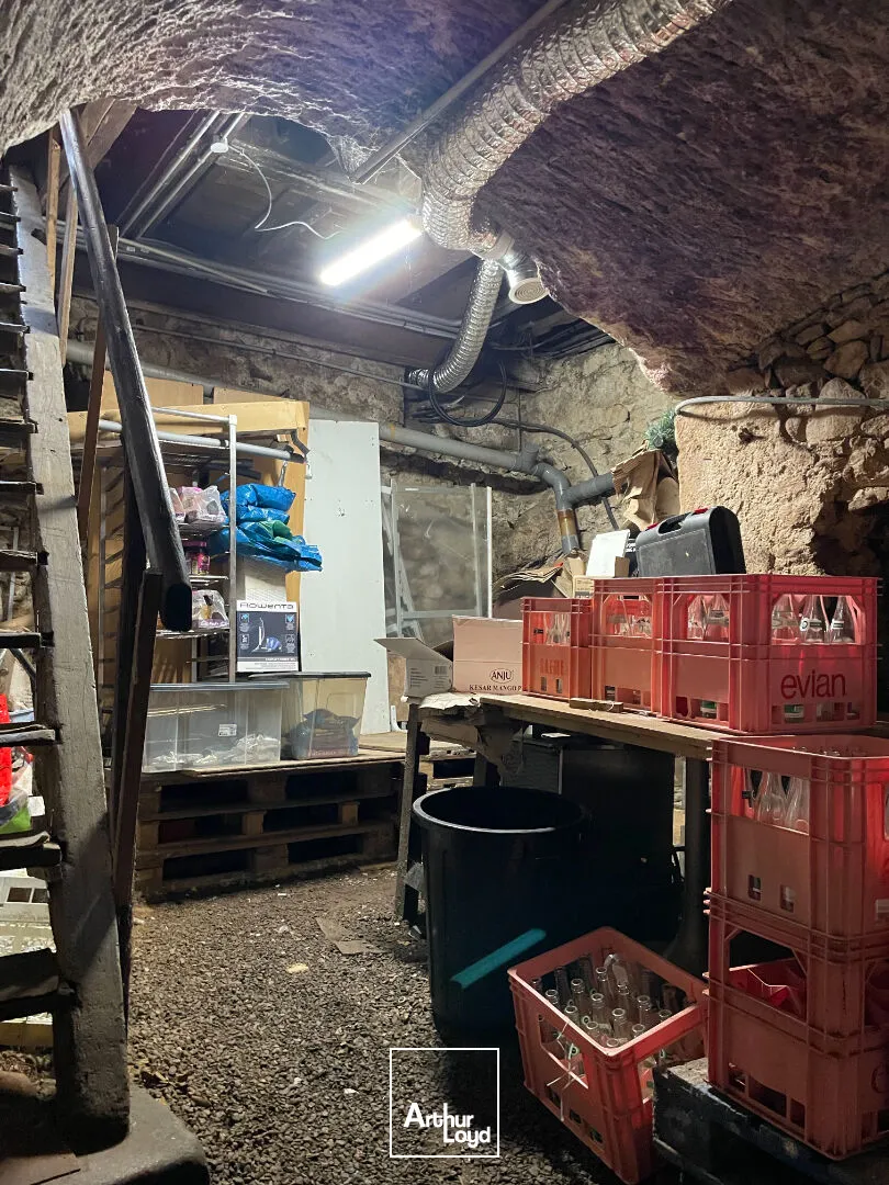 Locaux commerciaux - Location - LIMOGES - 87000 - 55-55 - 7739694