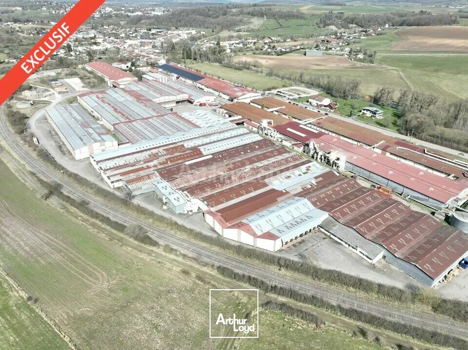Locaux d'activité & Entrepôts - Location - MATTAINCOURT - 88500 - 3070-13030 - 7740726