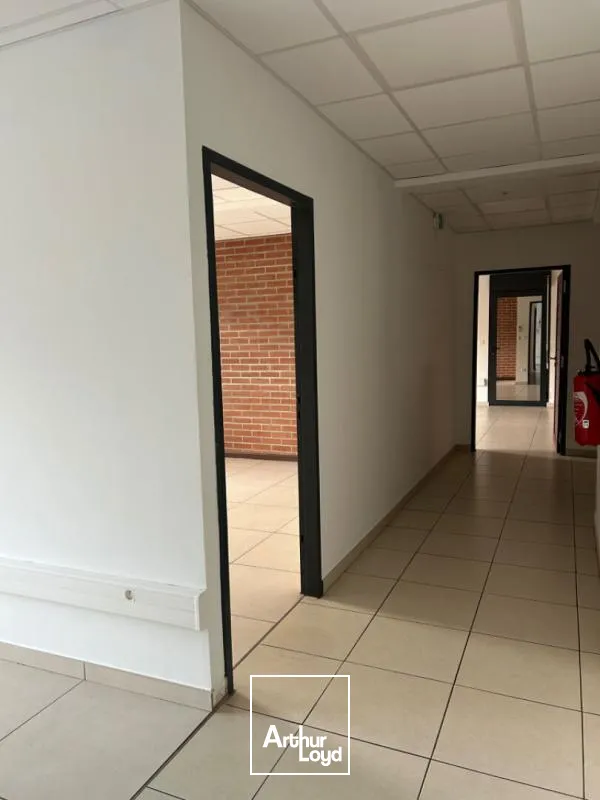 Bureaux - Location - Cayenne - 97300 - 287-287 - 7740814