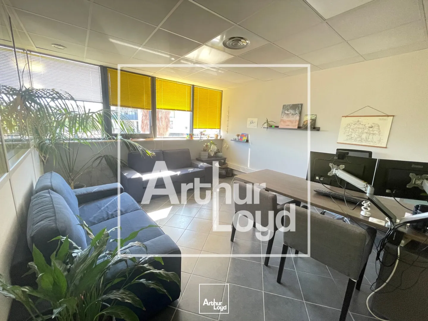Bureaux - Location - CASTELNAU LE LEZ - 34170 - 71.57-248.57 - 7740859