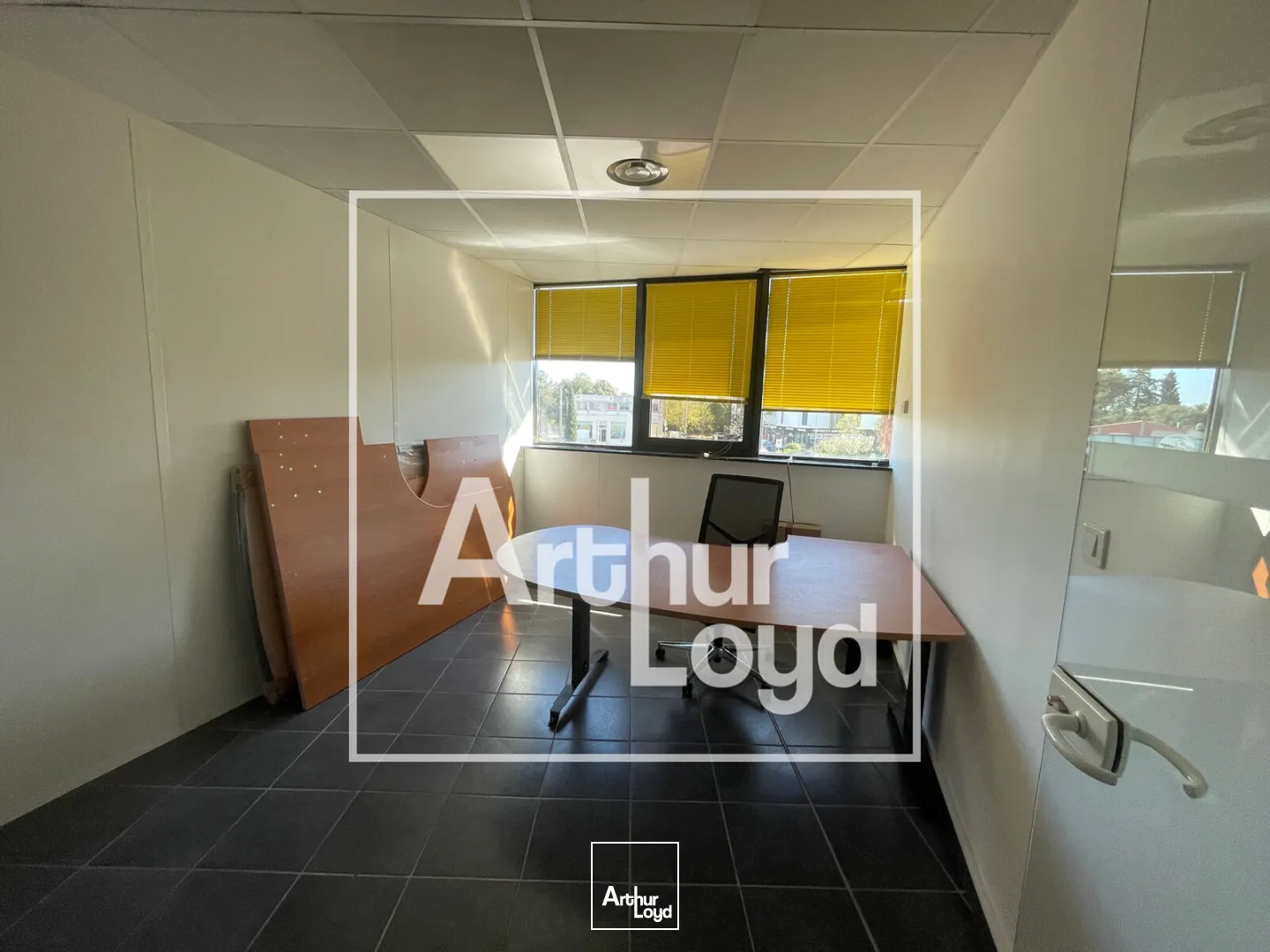 Bureaux - Location - CASTELNAU LE LEZ - 34170 - 71.57-248.57 - 7740863