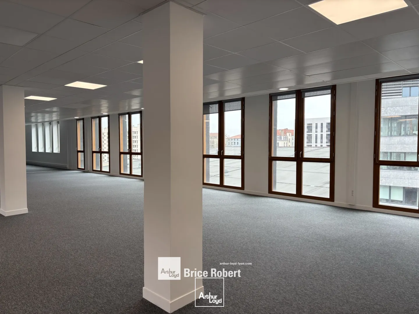 Bureaux - Location - LYON - 69002 - 256-256 - 7741431