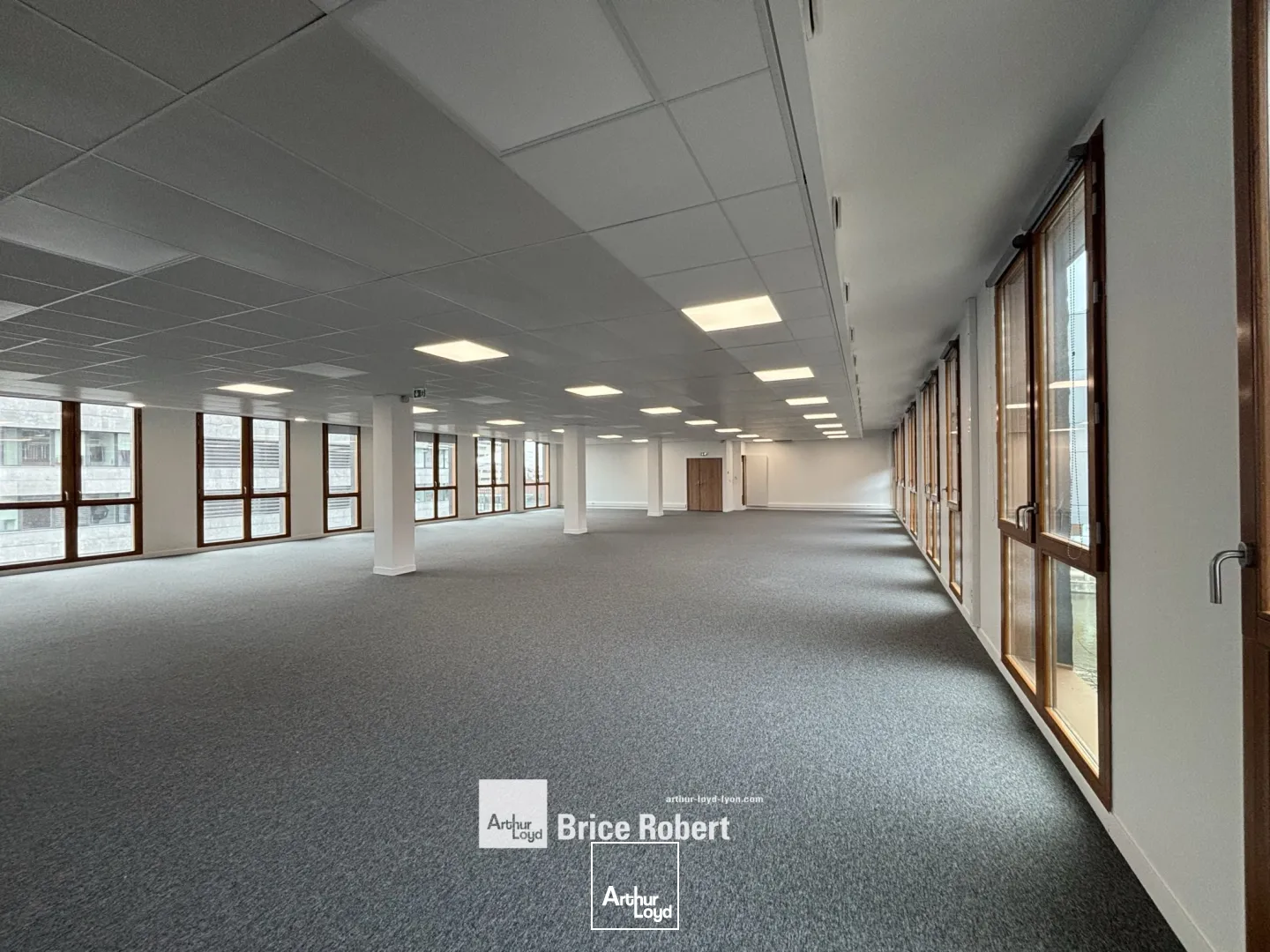 Bureaux - Location - LYON - 69002 - 256-256 - 7741430