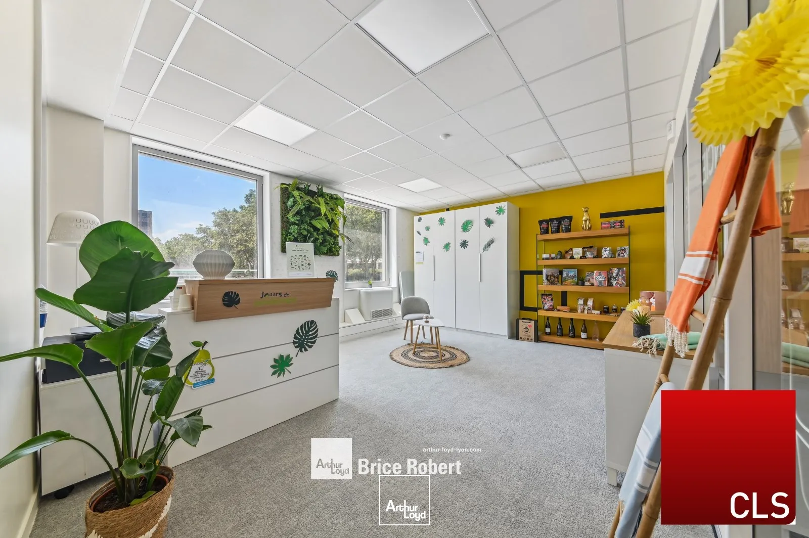 Bureaux - Location - VILLEURBANNE - 69100 - 349-349 - 7741440