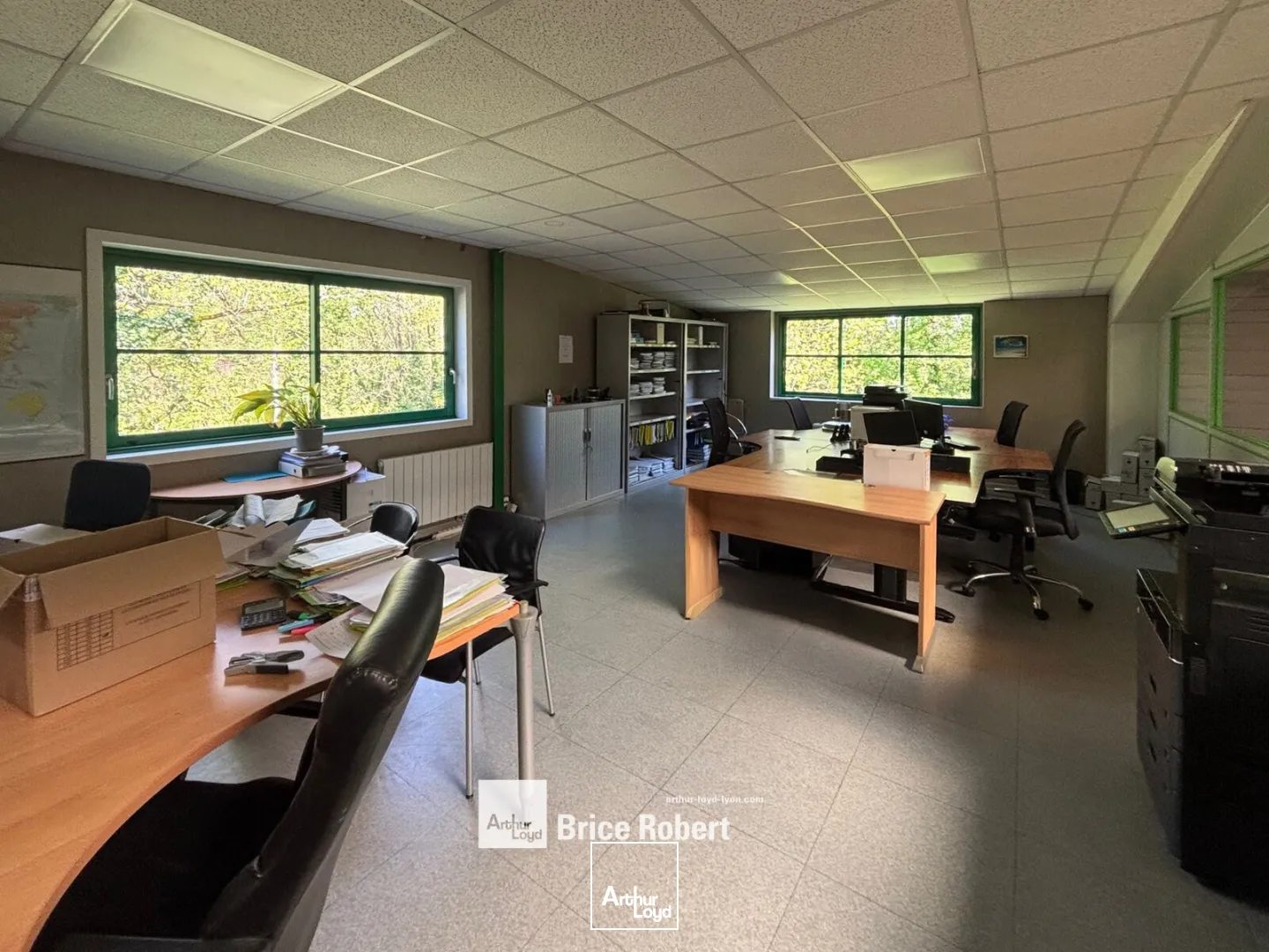 Locaux d'activité & Entrepôts - Vente - FLEURIEU SUR SAONE - 69250 - 730-730 - 7741455