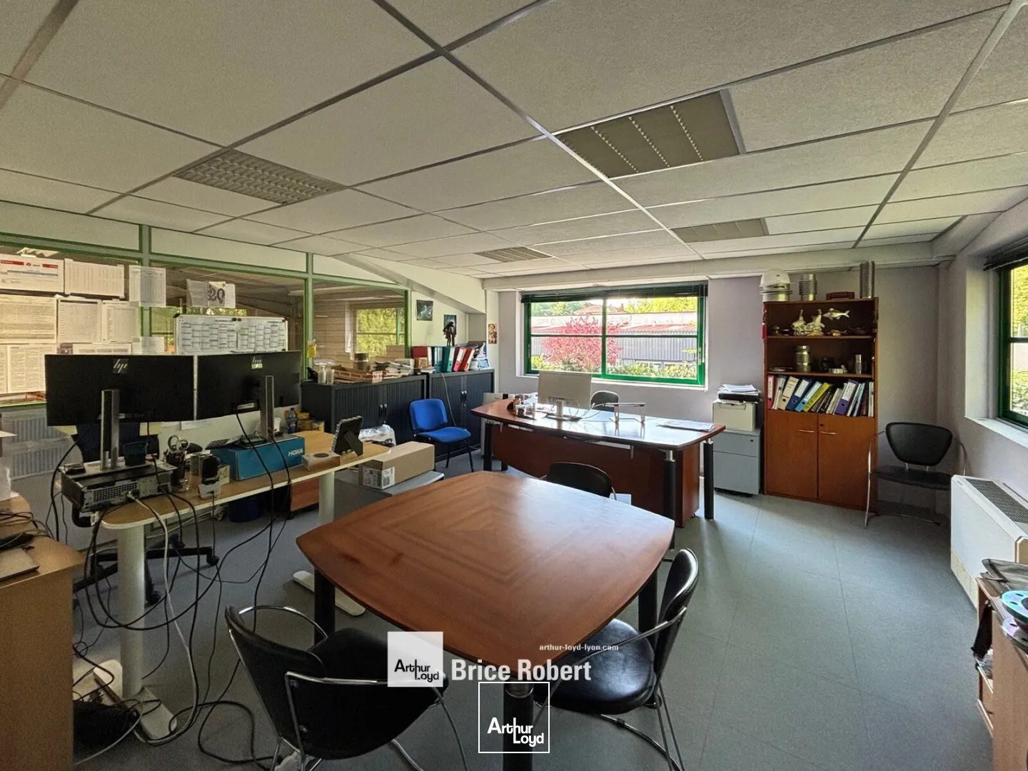 Locaux d'activité & Entrepôts - Vente - FLEURIEU SUR SAONE - 69250 - 730-730 - 7741454