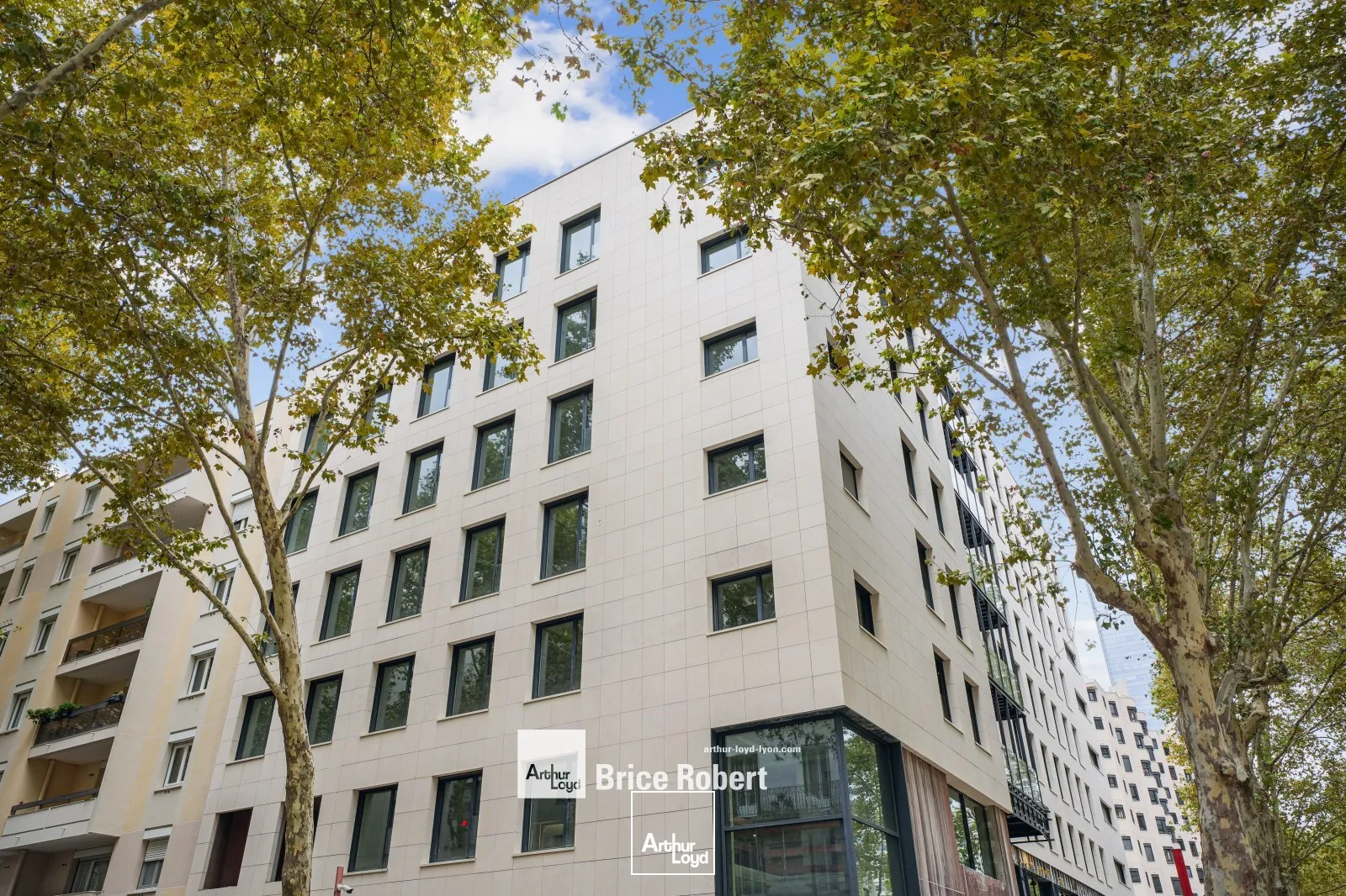 Bureaux - Location - LYON - 69003 - 259.6-259.6 - 7741473