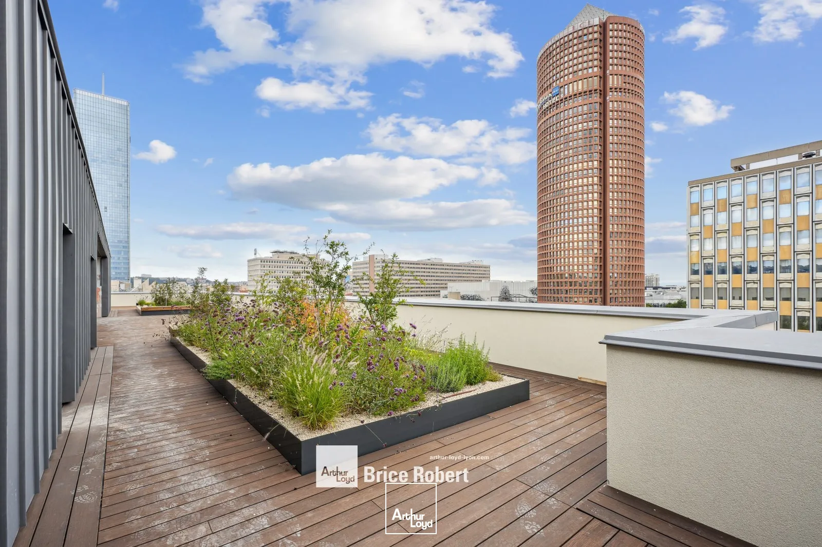 Bureaux - Location - LYON - 69003 - 259.6-259.6 - 7741474