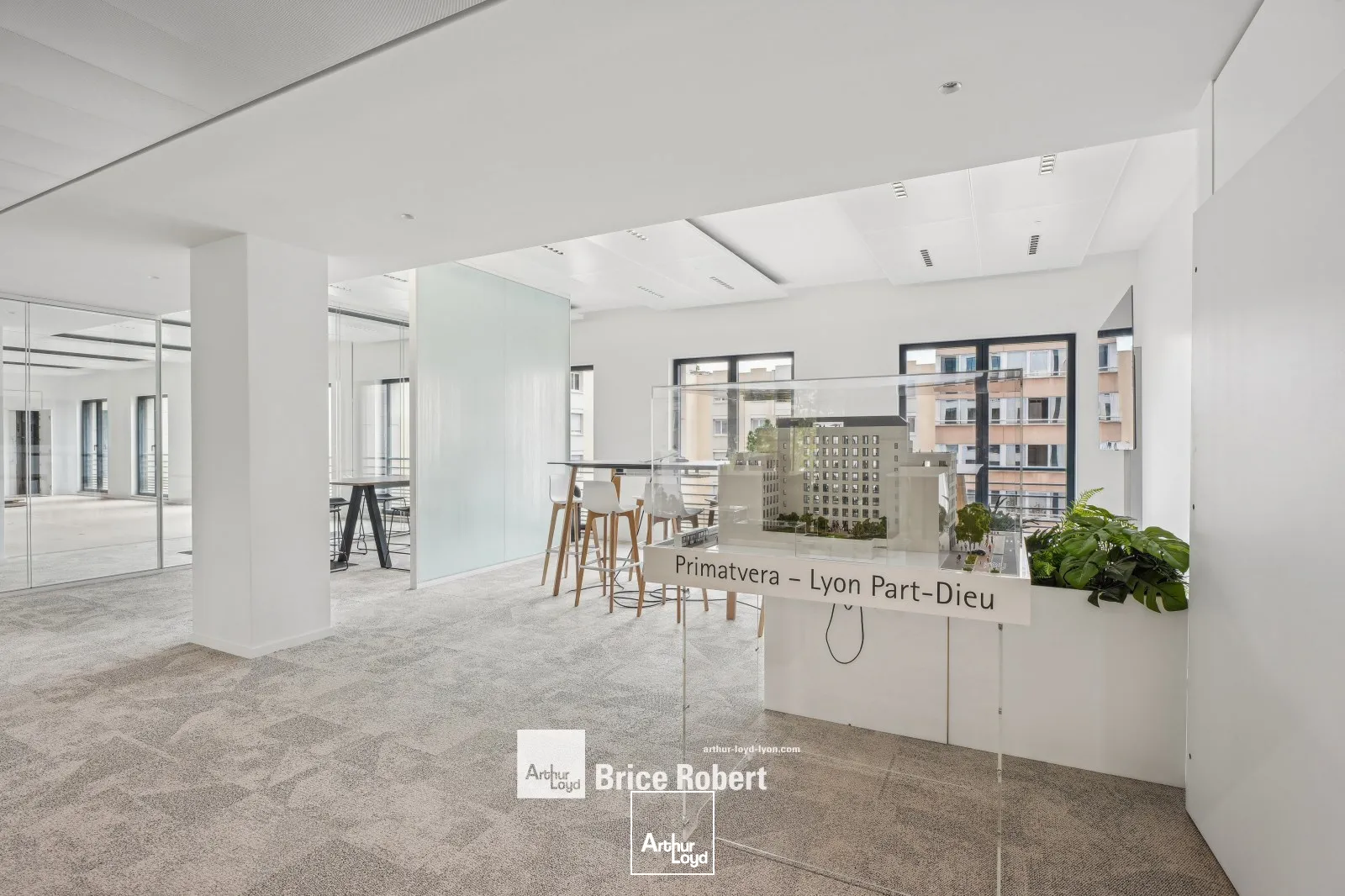 Bureaux - Location - LYON - 69003 - 259.6-259.6 - 7741480