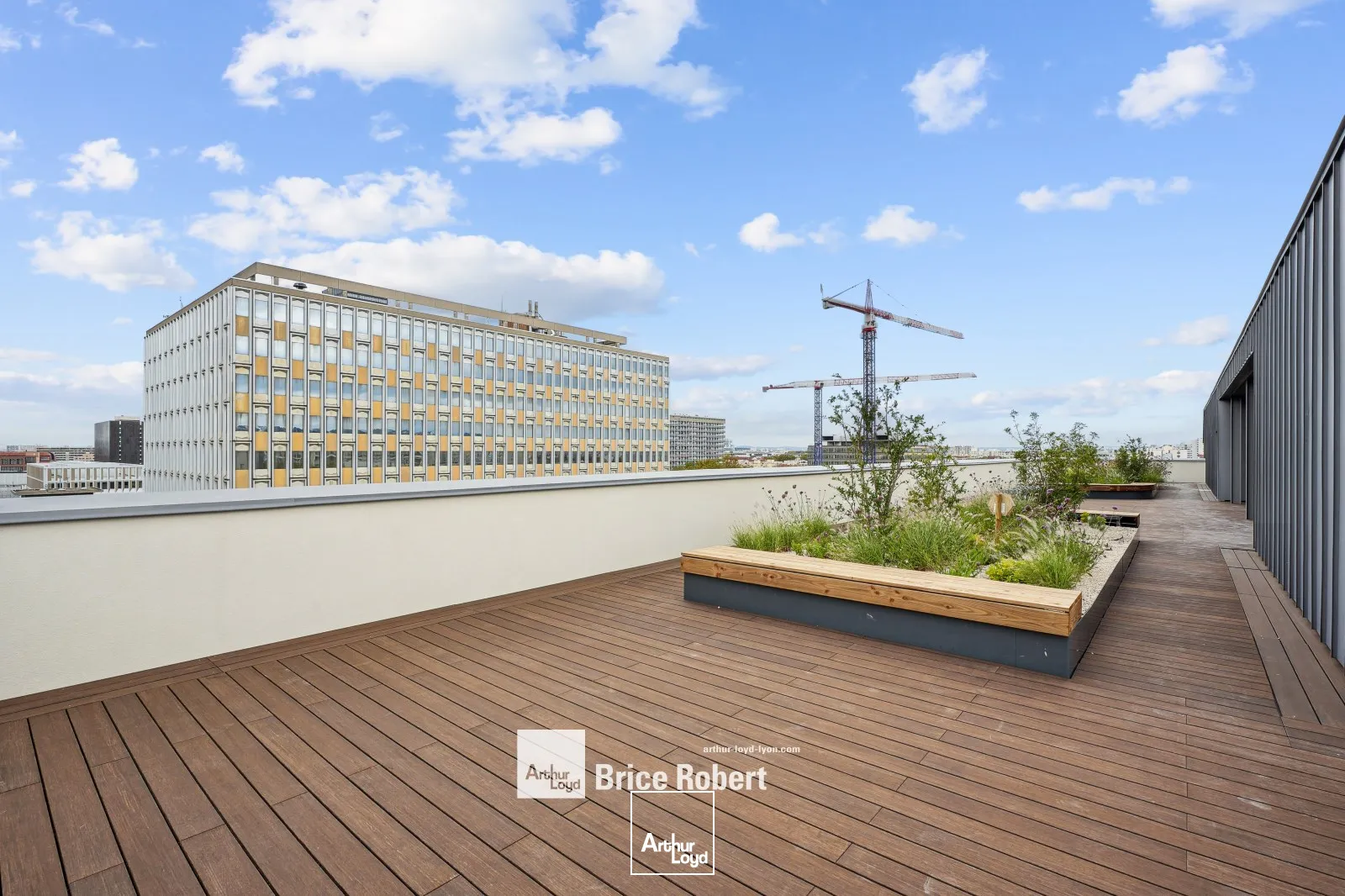 Bureaux - Location - LYON - 69003 - 259.6-259.6 - 7741484