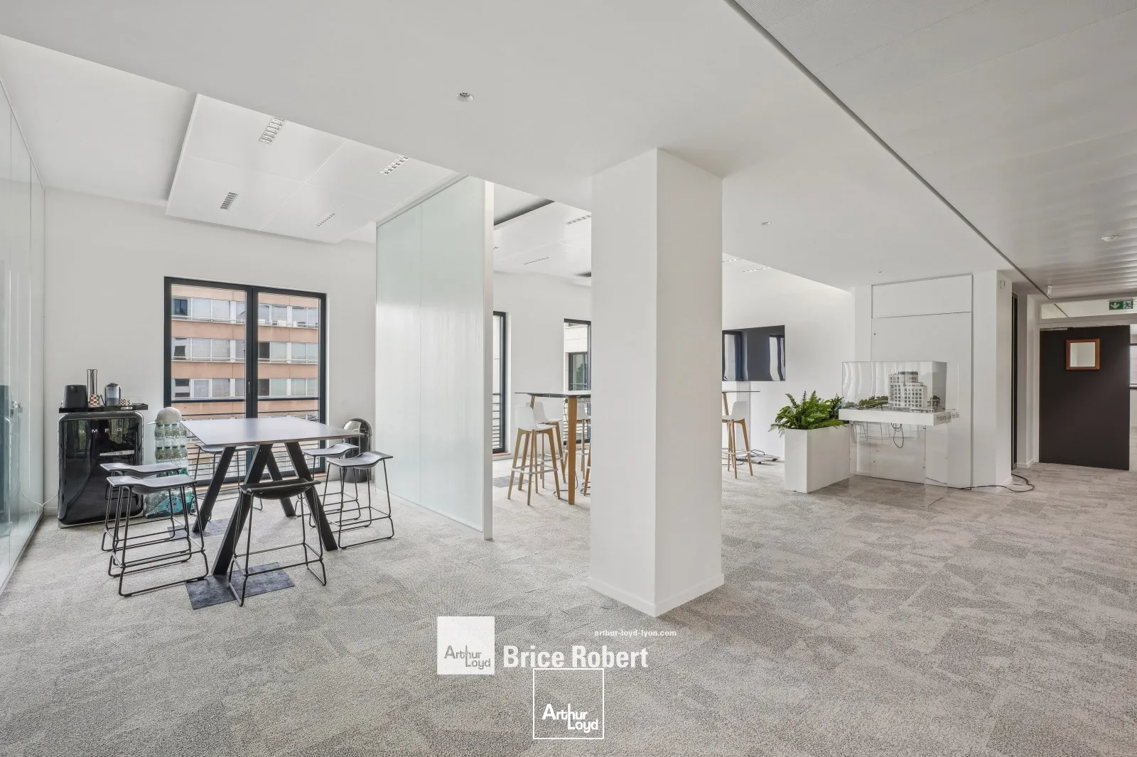 Bureaux - Location - LYON - 69003 - 259.6-259.6 - 7741475