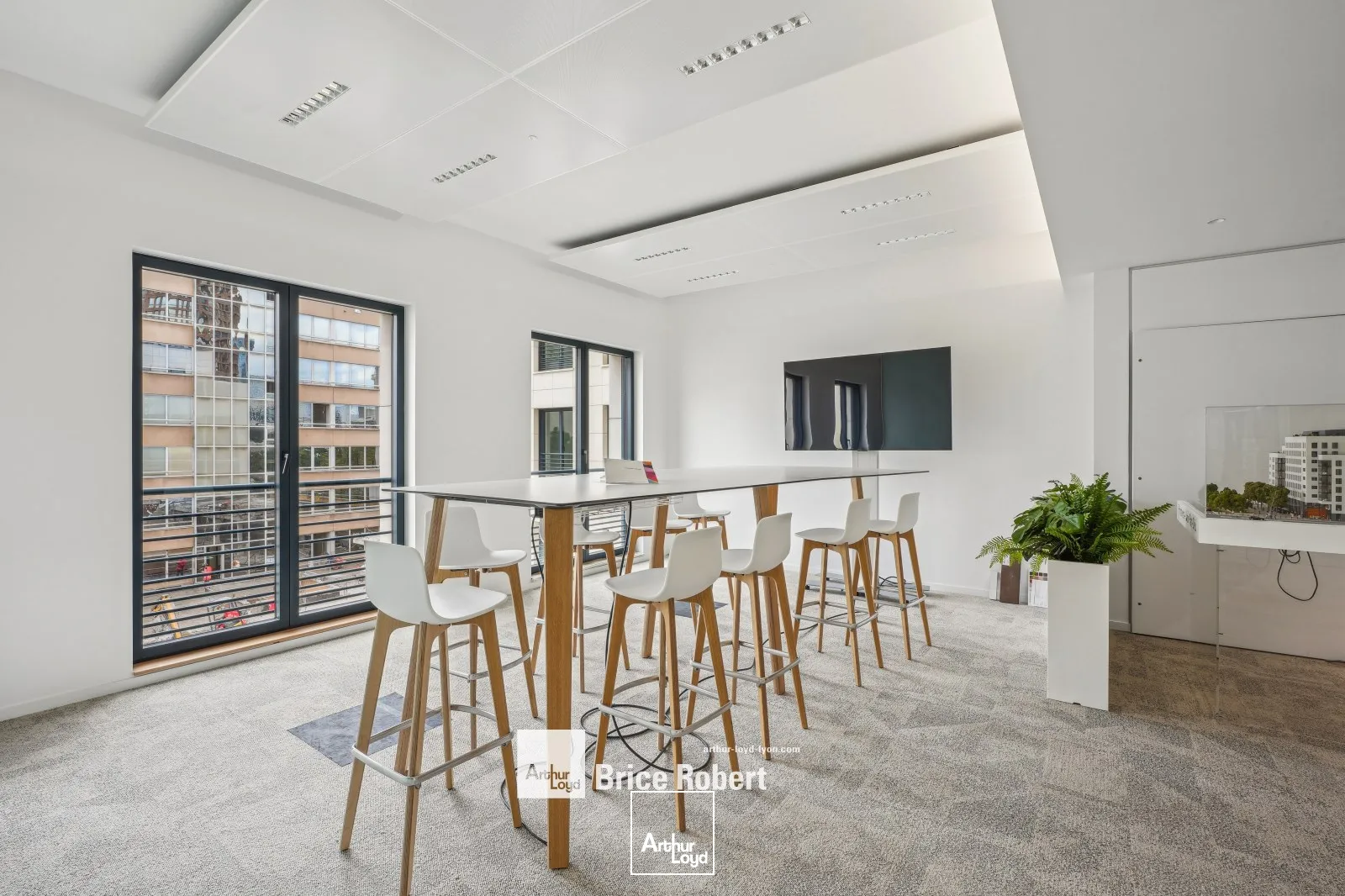 Bureaux - Location - LYON - 69003 - 259.6-259.6 - 7741476