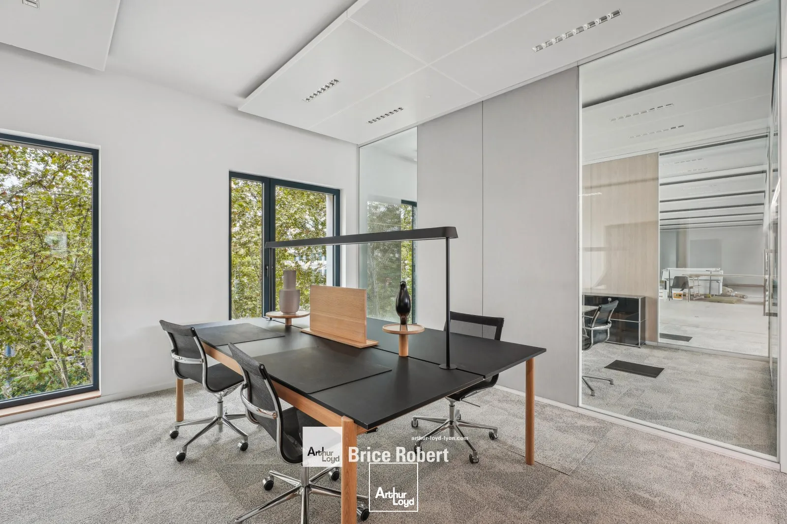 Bureaux - Location - LYON - 69003 - 259.6-259.6 - 7741477