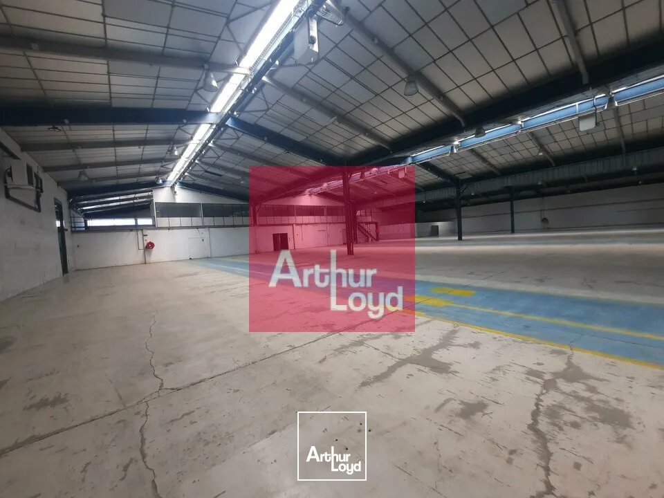Locaux d'activité & Entrepôts - Location - COURNON D'AUVERGNE - 63800 - 4846-4846 - 7741612