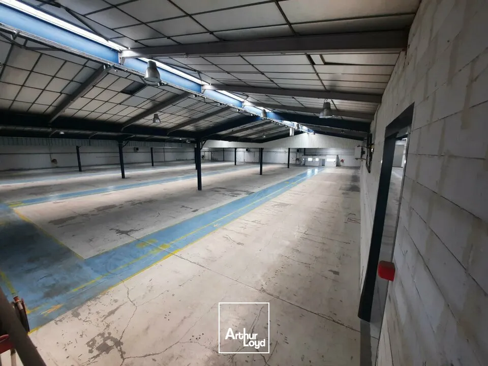 Locaux d'activité & Entrepôts - Location - COURNON D'AUVERGNE - 63800 - 4846-4846 - 7741613