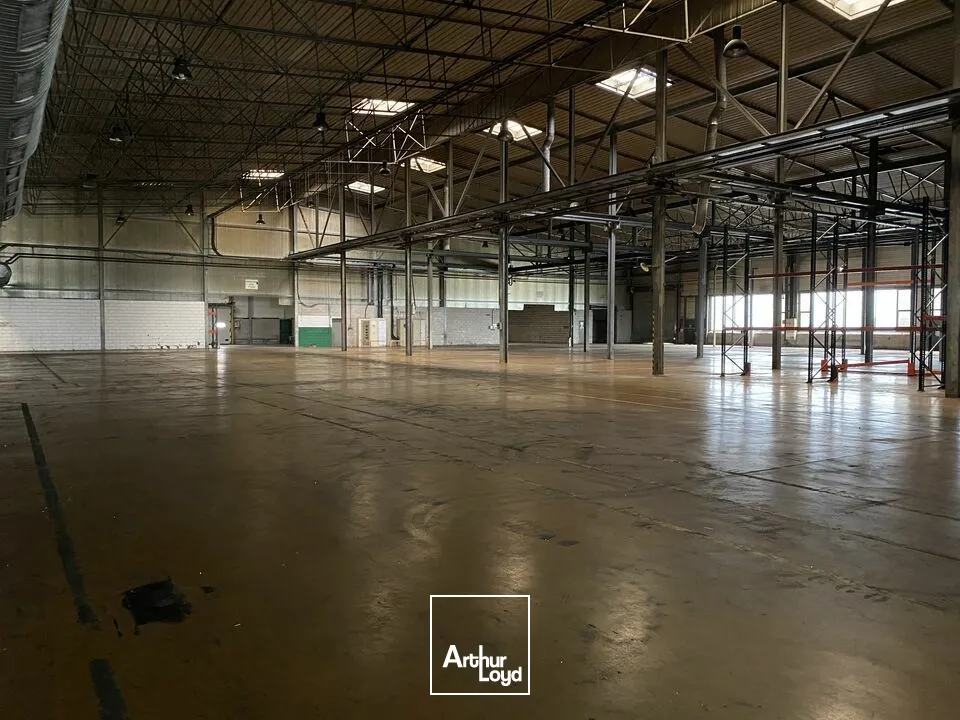 Locaux d'activité & Entrepôts - Vente - HENRIVILLE - 57450 - 10245-10245 - 7741627