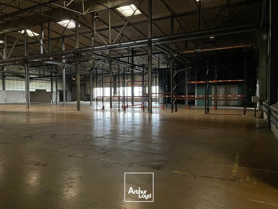 Locaux d'activité & Entrepôts - Vente - HENRIVILLE - 57450 - 10245-10245 - 7741630