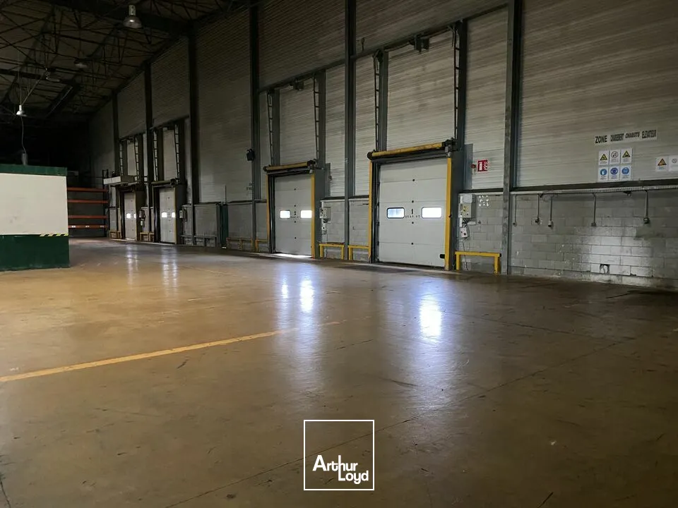 Locaux d'activité & Entrepôts - Vente - HENRIVILLE - 57450 - 10245-10245 - 7741628