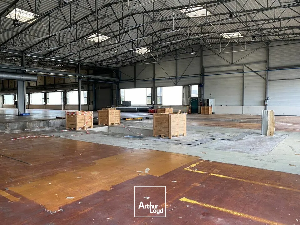 Locaux d'activité & Entrepôts - Vente - HENRIVILLE - 57450 - 10245-10245 - 7741626