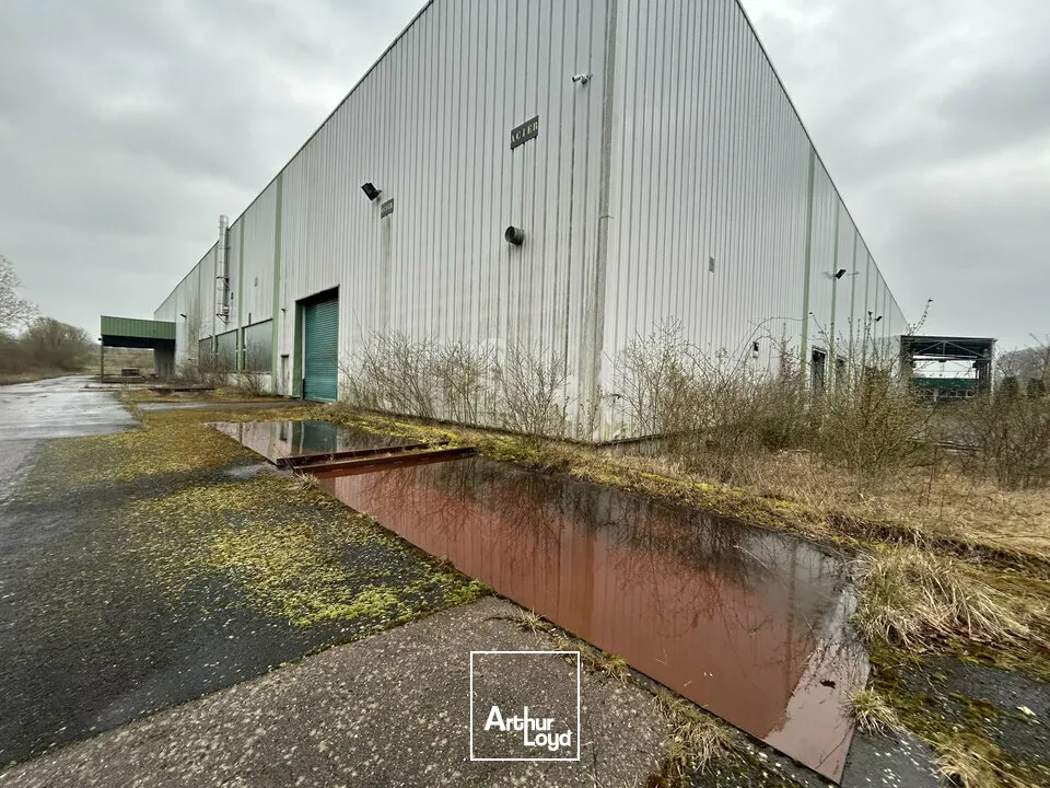 Locaux d'activité & Entrepôts - Vente - HENRIVILLE - 57450 - 10245-10245 - 7741624