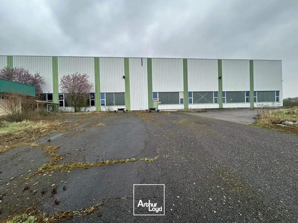 Locaux d'activité & Entrepôts - Vente - HENRIVILLE - 57450 - 10245-10245 - 7741622