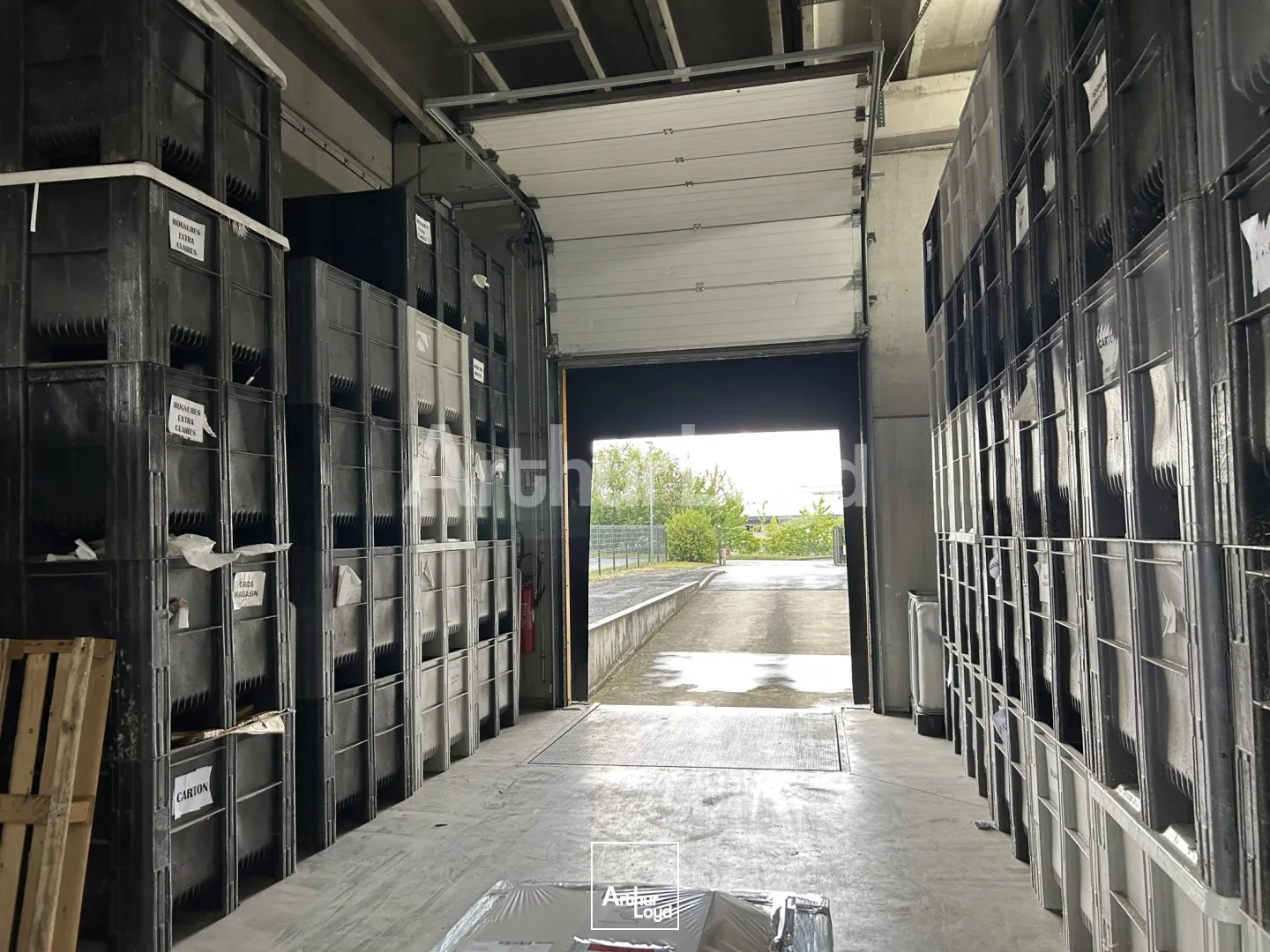 Locaux d'activité & Entrepôts - Vente - CAMBRAI - 59400 - 1900-1900 - 7742197