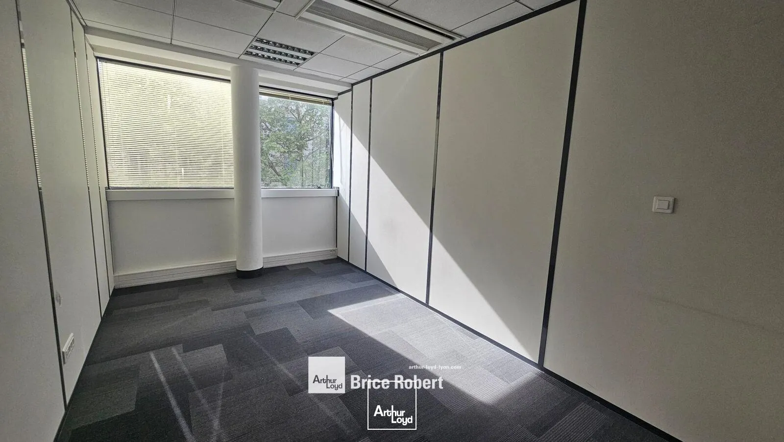 Bureaux - Location - LYON - 69006 - 336.1-336.1 - 7742272