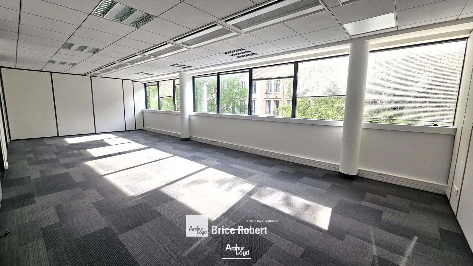 Bureaux - Location - LYON - 69006 - 336.1-336.1 - 7742274