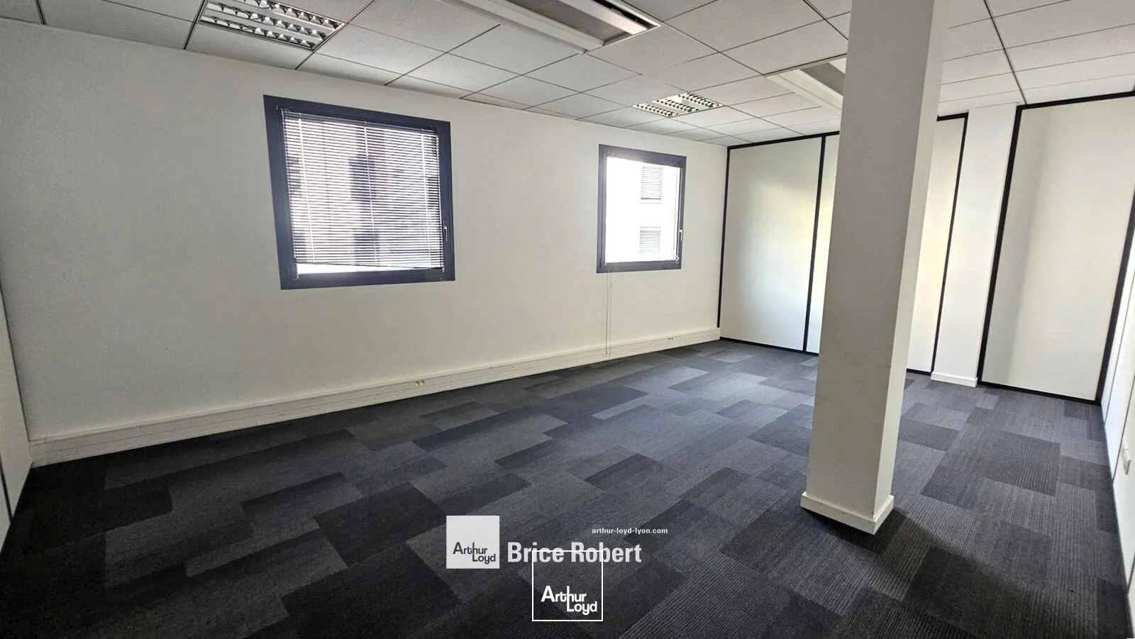 Bureaux - Location - LYON - 69006 - 336.1-336.1 - 7742276