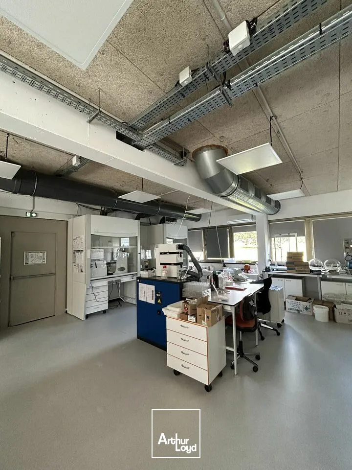 Bureaux - Vente - VANDOEUVRE LES NANCY - 54500 - 373-746 - 7742500