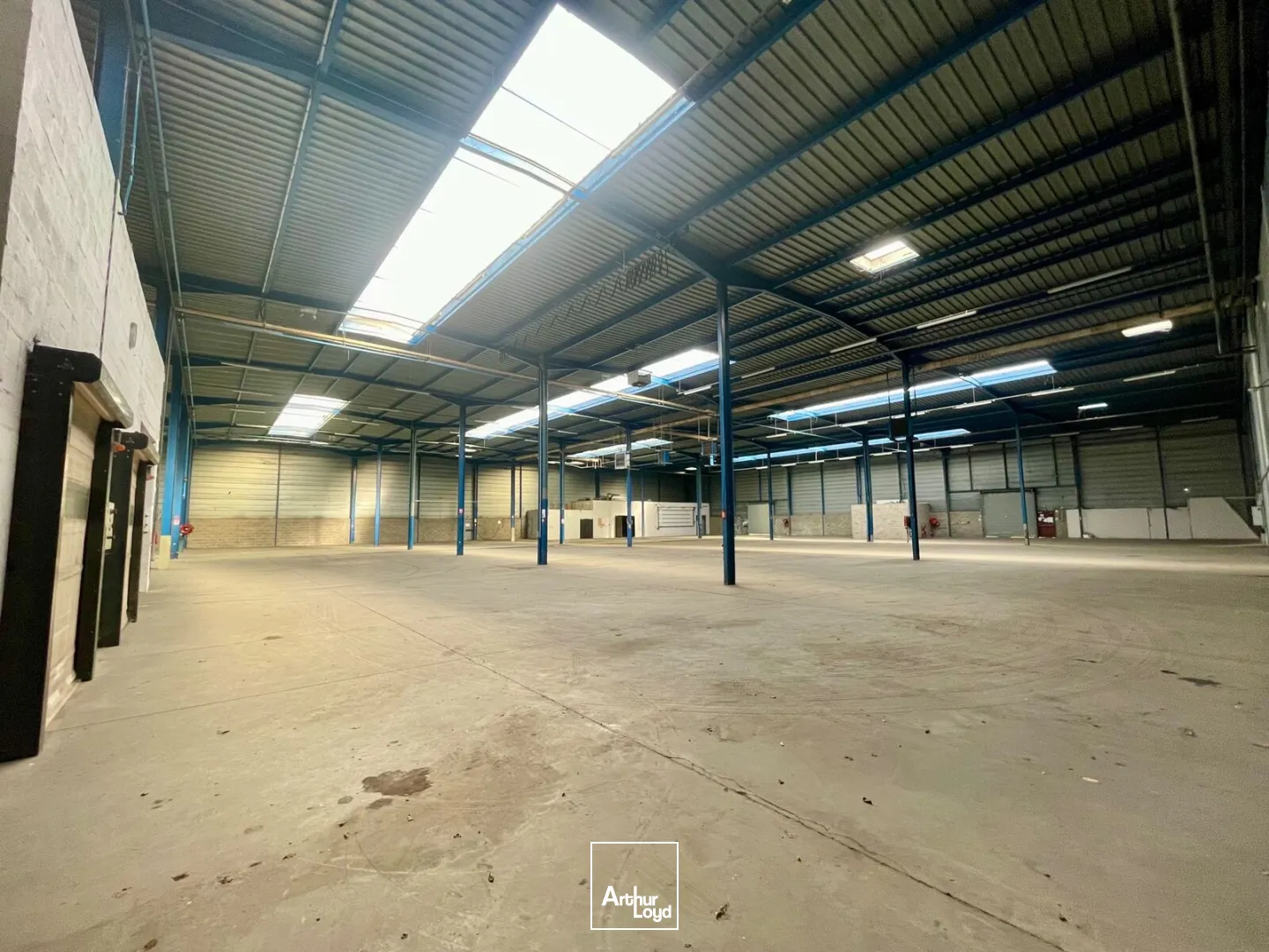 Locaux d'activité & Entrepôts - Location - SAINT ETIENNE DU ROUVRAY - 76800 - 1443-4724 - 7742785